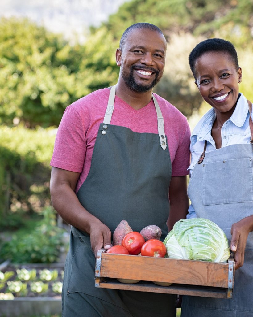 Portrait of happy black farmer couple holding a crate of bio vegetables in the farm. Smiling african man and mature woman showing box of vegetables and looking at camera. Satisfied farmers holding a basket of harvested vegetables.