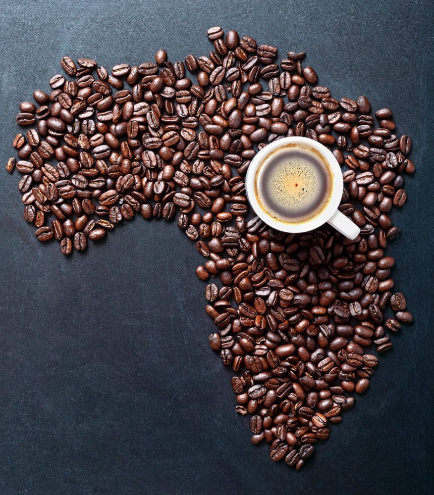 Roasted coffe beans shaping Map of the Africa on blackboard with cup of coffee. Major world coffee producers concept.